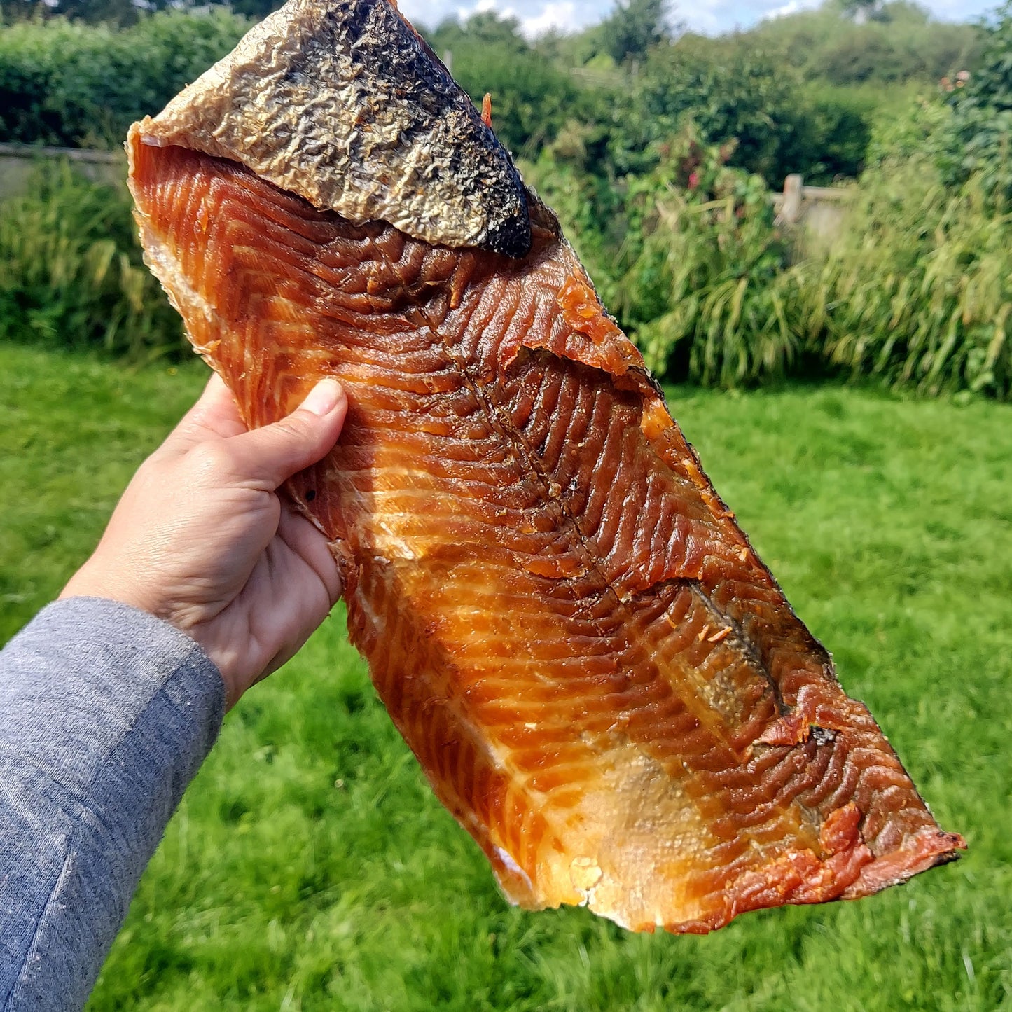 100% Salmon skin, dehydrated 100% natural, Omega 3 oil