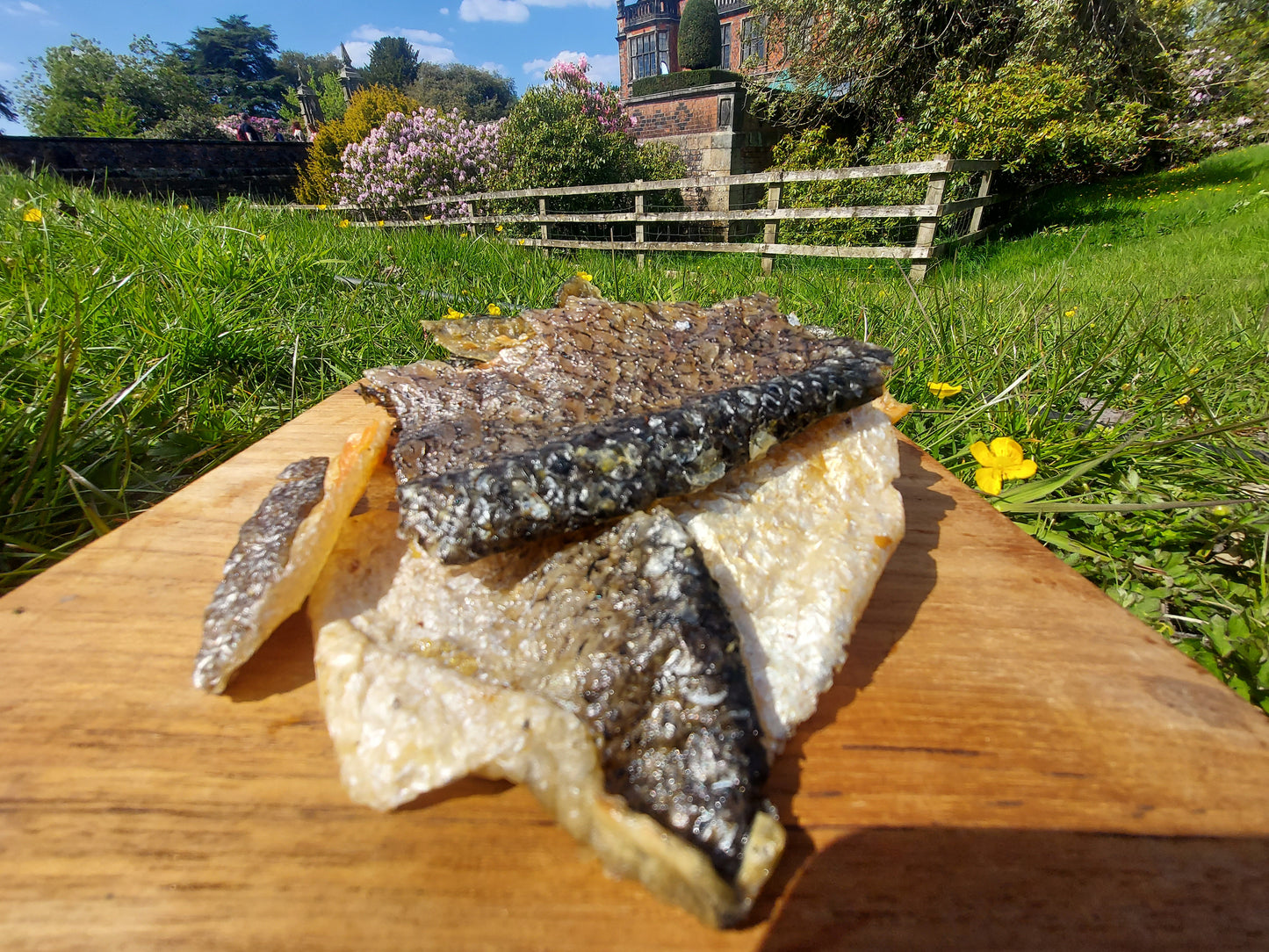 100% Salmon skin, dehydrated 100% natural, Omega 3 oil 50g box